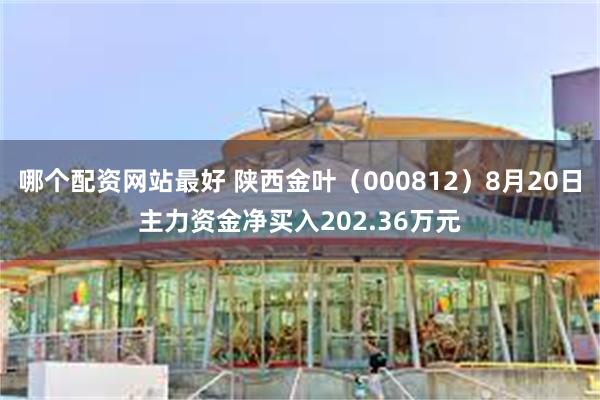 哪个配资网站最好 陕西金叶（000812）8月20日主力资金净买入202.36万元