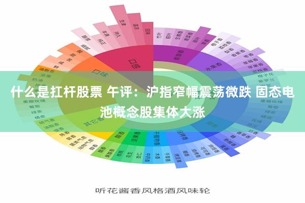 什么是扛杆股票 午评：沪指窄幅震荡微跌 固态电池概念股集体大涨