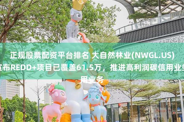 正规股票配资平台排名 大自然林业(NWGL.US)宣布REDD+项目已覆盖61.5万，推进高利润碳信用业务