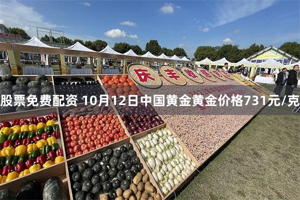 股票免费配资 10月12日中国黄金黄金价格731元/克