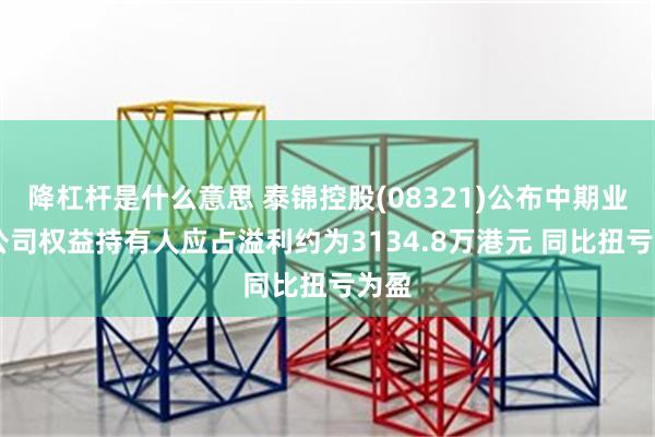 降杠杆是什么意思 泰锦控股(08321)公布中期业绩 公司权益持有人应占溢利约为3134.8万港元 同比扭亏为盈